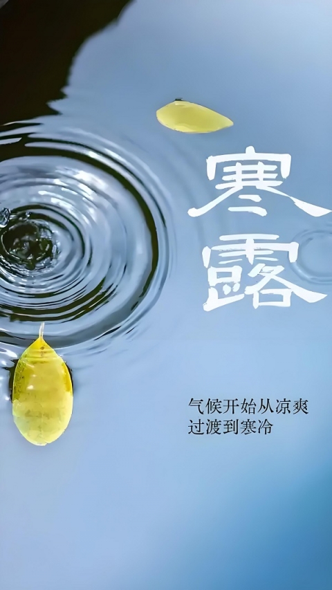 寒露物候藏趣，解锁深秋自然之美
